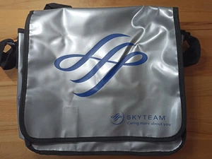 SkyTeam Airline Messenger Bag LKW Plane Tasche 3-Tage Versand Montag-Freitag NEU - Bild 1 von 3