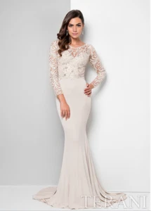 Terani Couture Lace and Beaded Evening Gown, Size 6 , Long Slv, Champagne - Picture 1 of 11