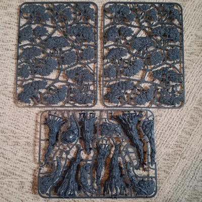 Games Workshop Age of Sigmar Awakened Wyldwood Sylvaneth Foto 1 de 4