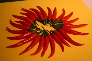 Chili Samen – Carmina igneo, sehr scharf Nr.7865 - Bild 1 von 1