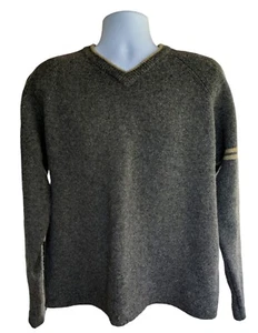Abercrombie & Fitch Gray 100% Wool V-Neck Pullover Sweater Mens Large Stripe - Picture 1 of 7