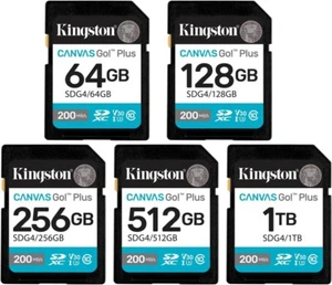 Kingston SDXC Canvas Go Plus (SDG4) Flash Speicherkarte 64GB 128GB 256GB - Bild 1 von 7