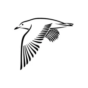 Seagull Fly - Calcomanía adhesiva de vinilo para pared, automóvil, iPhone, iPad, computadora portátil, bicicleta - Imagen 1 de 8
