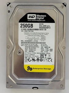 WD2503ABYZ-011FA0, HGNNHTJCG, 26 AUG 2013, Western Digital 250Gb 3.5" Sata HDD - Imagen 1 de 2