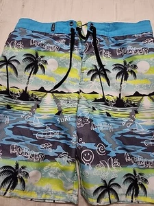 BOYS YOUTH HURLEY SWIM TRUNKS SHORTS BOARD SHORTS SZ 14 - Picture 1 of 11