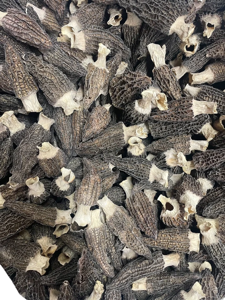 WILD Morel Mushrooms, Whole (Dried) - 4oz - Image 1 of 3