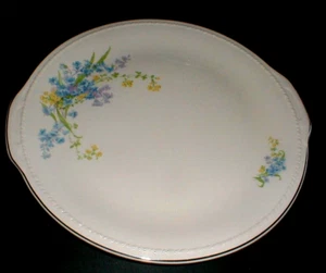 Taylor Smith Taylor #1393 Plymouth Pink Body BLUE BELL Handled Cake Plate (73F) - Picture 1 of 1