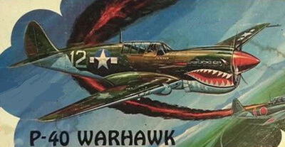 Model Airplane Plans (UC): Midwest P-40 Warhawk 48" Profile for .29 -.40 - Image 1 of 3