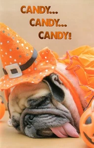 Cute HALLOWEEN Card, Candy Sleepy Pug Dog Witch Costume by Premium Greetings +✉ - Picture 1 of 4
