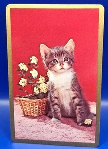 Cute Cat/ Kitten swap cards - 1970s Vintage. Playing Back. Exc cond - Picture 1 of 2