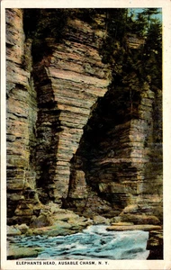 Postcard Elephants Head Ausable Chasm New York NY Posted 1925 - Picture 1 of 2