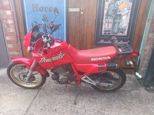 Honda Dominator NX650 - Picture 1 of 15