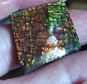Ammolite  Ammonite Coated Stone 23.5x26.6x5mm #17876 - Bild 1 von 5