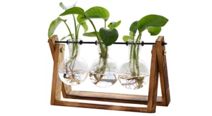 XXXFLOWER Plant Terrarium with Wooden Stand, Air Planter Bulb Glass Vase Metal S - Picture 1 of 6
