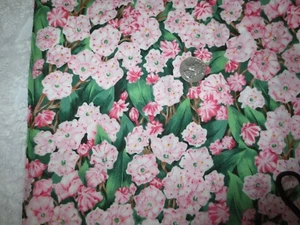 3583. Suzan Ellis MOUNTAIN LAUREL State Flower COTTON FABRIC - 43"wide BTY - Picture 1 of 3