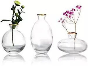 Bud Jar Clear Glass Small Vase in gold trim rim for flower plant 3 bottles set - Picture 1 of 4