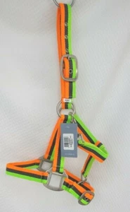 Catago Nylonhalfter Neon Farben Winter Pony Winter Halfter Stall Ponyhalfter neu - Bild 1 von 24