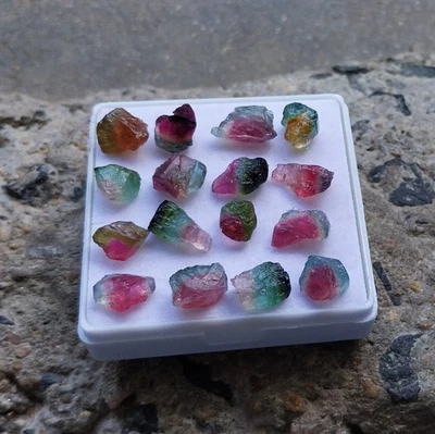 39.7Ct 5x8 to 6x12 MM Top Quality Natural Watermelon Tourmaline Rough 16 PCS lot - Image 1 of 4