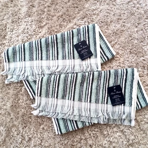 2 BROOKS BROTHERS Blue Green Striped THICK PLUSH TURKISH Hand Towel Set NEW - Picture 1 of 13