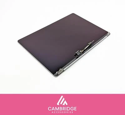 MacBook Pro 16" 2019 A2141 Conjunto de pantalla LCD genuino gris espacial - Imagen 1 de 4