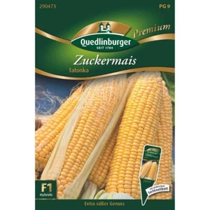Zuckermais, Tatonka - Bild 1 von 3