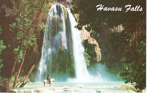 HAVASU FALLS, AZ - PC4215 - Bild 1 von 2