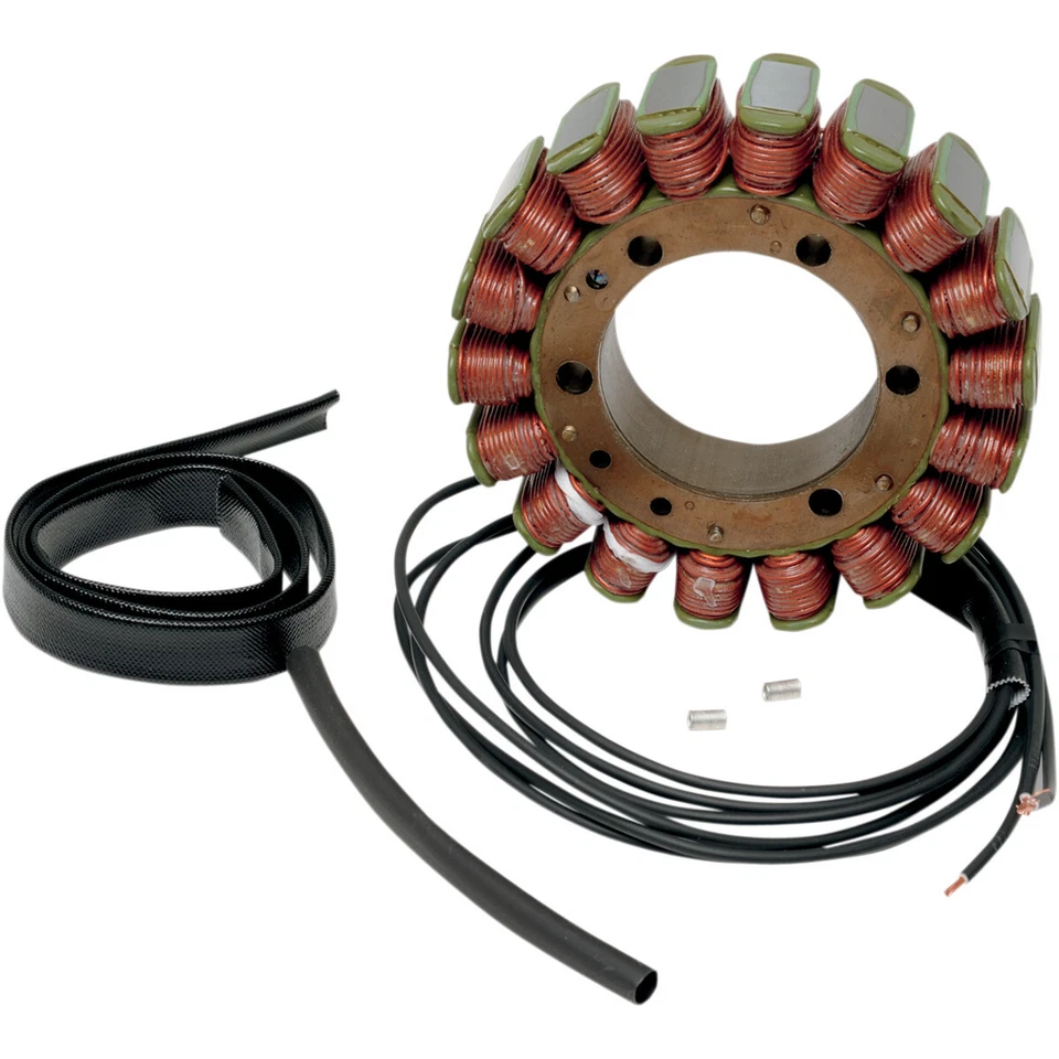 Estator magnético Ricks Electrics para BMW F650 F650CS F650GS F800S F800ST Foto 1 de 1