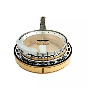 The Harmony of Tradition and Innovation BJ009AM 5-String Banjo - Picture 1 of 19