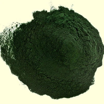 BIENENSCHWARMMM 500g Spirulina - reines Pulver - 1A Qualität 500g