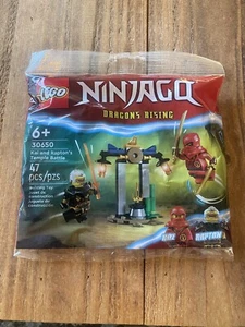 LEGO NINJAGO: Kai and Rapton's Temple Battle (30650) - Picture 1 of 1