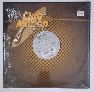 Isaac Hayes - Shaft (Sash! Mix) 📈 Germany 12" ZYX ZYX 8866-12 - Picture 1 of 4