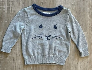 Beatrix Potter for Baby Gap Gray Blue Peter Rabbit Knit Sweater Boys Size 6-12m - Picture 1 of 3