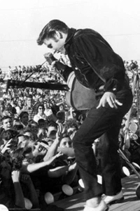 ELVIS PRESLEY POSTER - LIVE IN CONCERT TUPELO - 24X36 - Picture 1 of 1