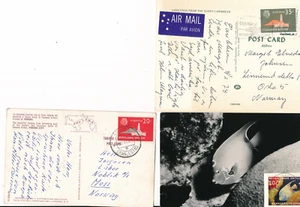 1960 - NEDERLANDSE - Dutch ANTILLES - Many Covers / Postcards with strips /FDC - Picture 1 of 5