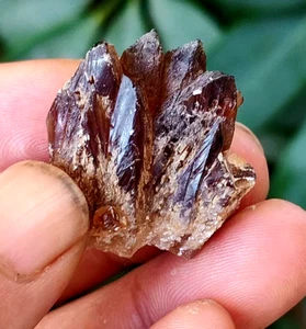 9g New Find Rare Amber Calcite Phosphorescent Mineral Specimen and gift added - Picture 1 of 3