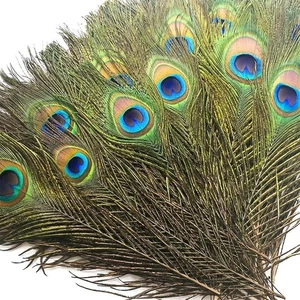 50 piezas plumas de pavo real a granel 10-12 pulgadas (25-30 cm) a granel para manualidades hágalo usted mismo, - Imagen 1 de 4