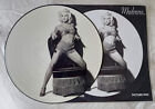 MADONNA DEEPER AND DEEPER 12'' IMPORT VINYL PICTURE DISC LP Erotica Promo Card