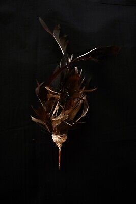 Old Aboriginal Feather Head Ornament - Alligator River NT 1960's • 237.95$