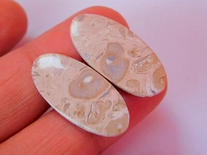 Natural Palm Root Jasper Matching Jewelry Making Gemstone Pair, Fancy Cabochon - Picture 1 of 5