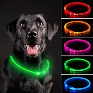 Flash illuminazione LED RICARICABILE COLLARE LUMINOSO cane animali domestici sicurezza MICRO USB regolabile - Foto 1 di 12
