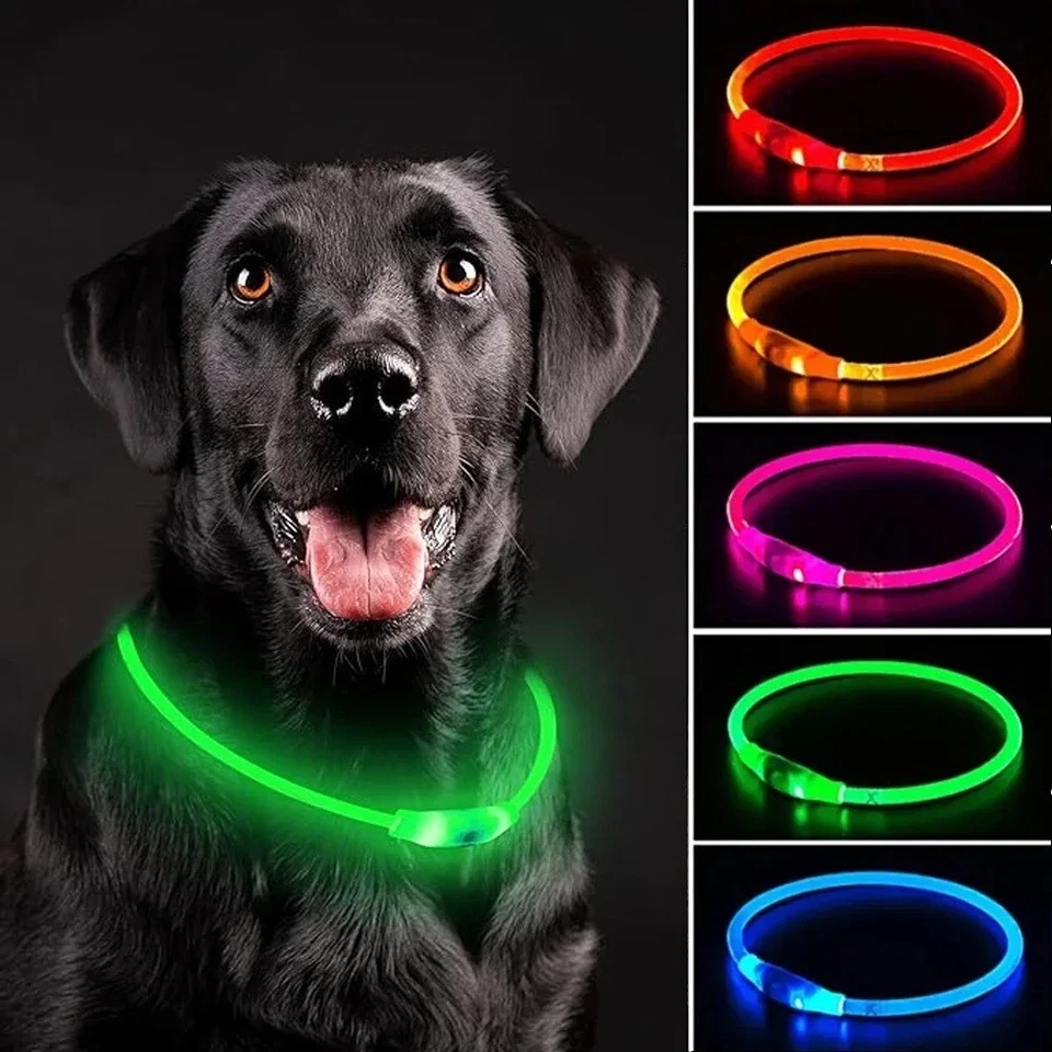 RECARGABLE LED Luz Flash COLLAR BRILLANTE Perro Mascota Seguridad MICRO USB Ajustable Foto 1 de 4