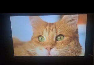 Emerson TV 42 Inch NO REMOTE - Picture 1 of 4