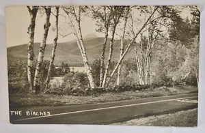 Foto postal real RPPC "Los abedules" Mountain Lake Maine - Imagen 1 de 2
