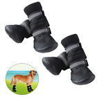Black Dog Boots for Outdoor Hiking - Set of 4