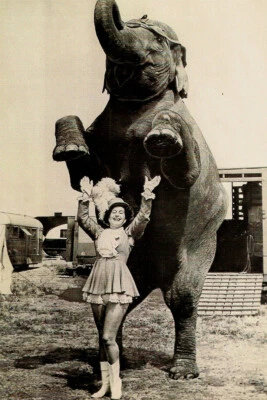 Circus Procession Elephants 1888 Vintage Wall Art Home Decor - POSTER 20x30 - Image 1 of 3