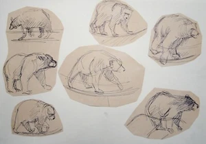 Richard Bazley (b1962) Ink drawings of Bears. Animator for Disney, Pocahontas.. - Picture 1 of 2