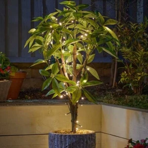 Smart Garden Solar Lichterkette 50 warmweiße LED Außen Garten Beleuchtung c10 - Bild 1 von 4