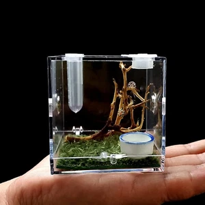 Spider Terrarium, Acrylic Reptile Breeding Box Jumping Spider Enclosure with Dro - Picture 1 of 6