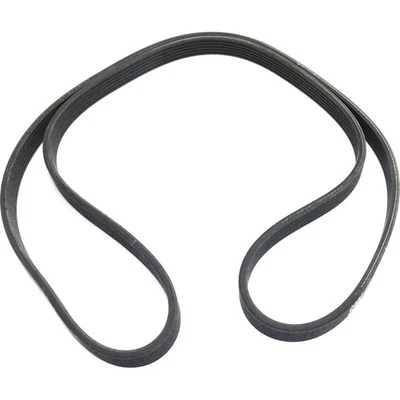 Drive Belt for Porsche 911 Volvo S60 XC70 V70 S80 XC90 2003-2006 Foto 1 de 4