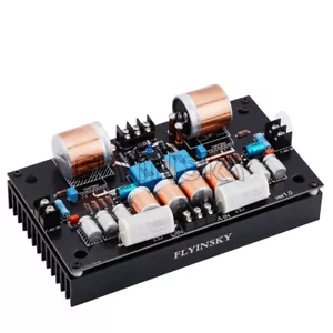 TDA7293 Hifi Stereo Audio Verstärker Platine mit Kühlkörper 100 W + 100 W Verstärker (F-1) - Bild 1 von 6